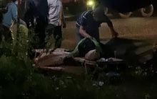 Chồng gục ngã bên thi thể vợ và 2 người con bị xe tải lùi cán chết ở Phú Yên