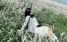 Ra đê Long Biên chụp ảnh giữa trắng ngàn cỏ lau