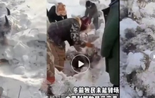 7 người thiệt mạng ở Tân Cương (Trung Quốc) do thời tiết lạnh cực đoan