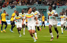 Senegal đánh bại Ecuador, giành vé vào vòng 1/8 World Cup 2022