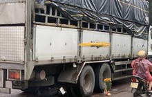 Phú Yên: Khởi tố, bắt giam tài xế lùi xe tải cán chết 3 mẹ con