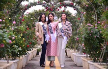 Dàn thí sinh Hoa hậu Du lịch Thế giới 2022 đọ sắc tại lễ hội hoa