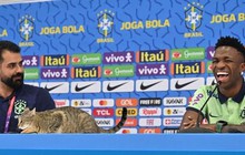 Nhân vật đặc biệt xuất hiện trong buổi họp báo của sao Brazil tại World Cup 2022