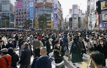 Du lịch Nhật Bản khởi sắc sau hai năm dịch bệnh