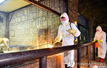 Tổng số người bị sốt ở Triều Tiên lên đến gần 2,5 triệu người