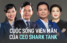 Cuộc sống viên mãn của các CEO nổi danh từ Thương Vụ Bạc Tỷ - Shark Tank
