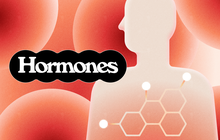 Những điều bạn cần biết về hormone (nội tiết tố)