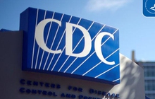 Đậu mùa khỉ: 70 ca tử vong toàn cầu, CDC cảnh báo "không chỉ lây qua tiếp xúc thân mật"