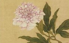 Hoa nở trong Cố cung - Thược dược: Loài hoa tháng Năm hiện lên đầy tinh tế trong tranh cổ Trung Quốc