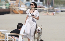 Bạn gái Leonardo DiCaprio để mặt mộc xinh đẹp dắt thú cưng đi dạo trên bãi biển
