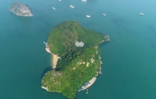 Vì sao du khách tham quan vịnh Hạ Long không được lên đảo Soi Sim?