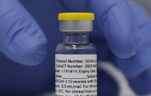 Novavax xin cấp phép sử dụng vaccine COVID-19 làm mũi tiêm tăng cường tại Mỹ