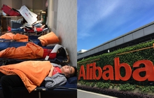 Văn hóa nghỉ trưa của công ty công nghệ: Huawei ngủ nệm, Alibaba ngủ lều, Baidu xây luôn "thiên đường" cho nhân viên