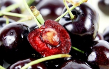 Lương y Bùi Đắc Sáng chỉ ra phần "nguy hiểm" của quả cherry cần lược bỏ khi ăn kẻo rước độc, hại sức khỏe