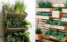 4 bí quyết giúp bạn trồng rau sạch ở ban công đủ ăn quanh năm cho cả gia đình