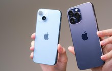 iPhone 14 chính hãng mở bán sớm tại Việt Nam, giá bản xách tay giảm ngay 10 triệu đồng