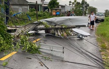 1.223.588 người bị mất điện do bão Noru