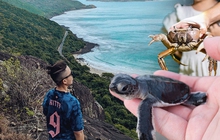 Độc đáo du lịch Côn Đảo mùa rùa biển đẻ trứng