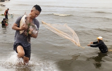 Nghề độc chỉ có sau bão ở Đà Nẵng: Ra biển "săn" cá nước ngọt "khủng"