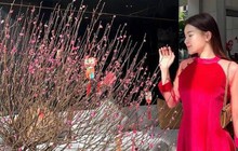Dàn WAGs Việt diện đẹp chơi Tết: Yến Xuân vừa sexy vừa truyền thống, vợ Quế Ngọc Hải ấn tượng với "outfit bỉm sữa"