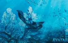 Avatar: The Way of Water nhăm nhe soán ngôi Titanic