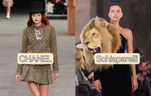 Cùng đưa "sở thú" lên sàn catwalk, nhưng tại sao Chanel được ca ngợi mà Schiaparelli "ăn gạch" tới cả tuần trời?