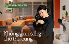 NTK nội thất chỉ ra điều quan trọng cho nhà có thú cưng: Chó cần lưu ý về sofa, mèo cầu kỳ hơn thế