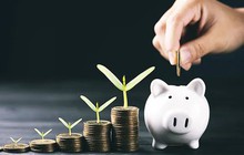 Quy luật 4% cho kế hoạch nghỉ hưu sớm khi trí tuệ nhân tạo lên ngôi