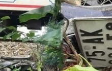 Vượt đường sắt bằng lối đi tự mở, nữ sinh lớp 11 bị tàu hỏa tông chết