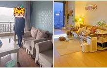 Dốc hết tiền mua căn hộ cũ rồi chi 170 triệu để sửa lại, cô gái sống độc thân vui vẻ với hai chú mèo