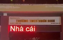 Trường học ở Bình Định đồng loạt kiểm tra việc quản lý, sử dụng bảng LED