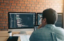 Nhiều sinh viên IT hối hận khi "đi làm lương nghìn đô nhưng thiếu bằng đại học"