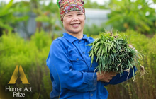 Từ sữa Ông Linh đến dự án tiên phong thúc đẩy hoạt động sản xuất nông nghiệp thân thiện với môi trường