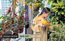 Ban công rộng chưa đến 10m2 khiến dân mạng trầm trồ: Không gian xanh mướt, hoa trái 4 mùa sai trĩu quả