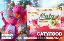 "Lần đầu tiên trái thanh long có trong mì tôm" - Hot trend giúp CatyFood lội ngược dòng, tăng gấp 612 lần doanh thu sau nhiều năm báo lỗ