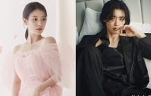 Cặp đôi quyền lực nhất Kbiz gọi tên Lee Jong Suk - IU: Cứ nhìn vào BXH này là rõ!