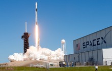 Phái đoàn Mỹ lớn nhất từ trước đến nay sắp thăm Việt Nam: 50 doanh nghiệp gồm SpaceX, Netflix, Boeing góp mặt