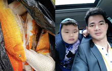 Đi công tác về thì phát hiện con trai cưng làm chết bể cá Koi đắt tiền, Xuân Bắc có phản ứng bất ngờ