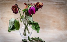 5 món đồ đại kỵ đừng dại giữ trong nhà kẻo xui xẻo