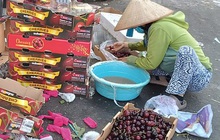 Sự thật về cherry siêu rẻ “bao ngon”