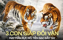 Bước sang tháng 2 nhuận Âm lịch này, 3 con giáp đổi vận rực rỡ, có cơ hội của cải đầy tay, chuẩn bị để ngồi trên đống tiền