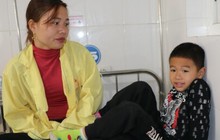 Xót thương mẹ đơn thân gồng gánh nuôi gia đình 5 người bệnh tật