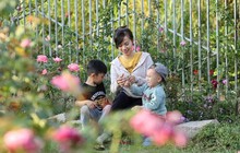 Bà mẹ 2 con đổ mồ hôi trồng hoa trái và rau sạch, tìm bình yên trong khu vườn nhỏ
