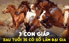 Sau tuổi 35, có 3 con giáp chỉ đợi một bước chuyển nổi bật, có số làm đại gia: Nếu không lưu ý dễ vuột ngay thời cơ vàng