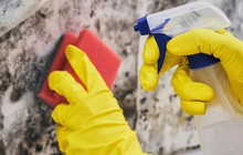 Chị em chưa biết 5 bí quyết dọn dẹp này thì còn "phát điên" với nấm mốc "xâm chiếm" mọi góc nhà sau nồm ẩm