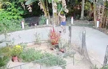 Tạm giữ đối tượng đánh hàng xóm tử vong
