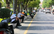 Ảnh: Những tuyến đường rợp bóng cây xanh, giúp TP.HCM giảm bớt nắng nóng gay gắt