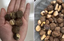18 người ngộ độc do ăn phải loại hạt lạ chứa chất độc