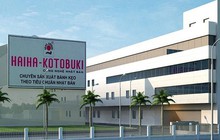 Chủ tịch hãng bánh kẹo Hải Hà bất ngờ xin từ chức