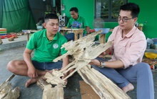 Quảng Nam: Vỡ nợ vì 3 lần khởi nghiệp thất bại, ôm nợ 200 triệu, chàng trai về quê tìm "vàng" trong thân cây rồi đổi đời từ đó